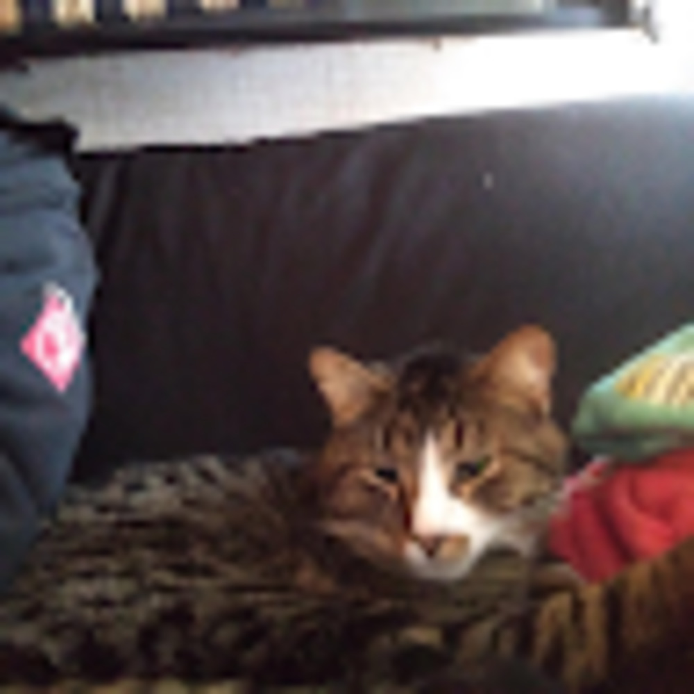 Meet your Posher, Tonia